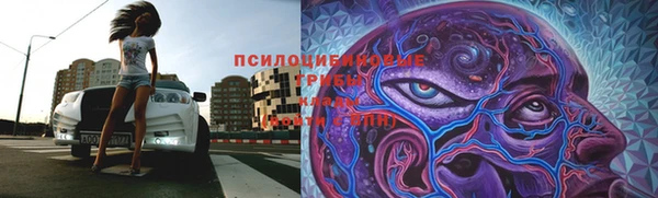 mdpv Бородино