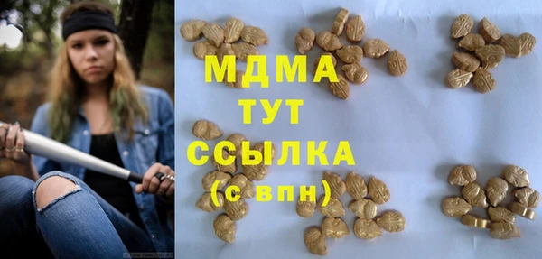 mdpv Бородино