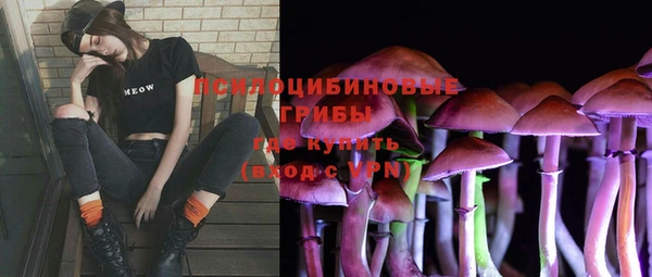 а пвп мука Бронницы