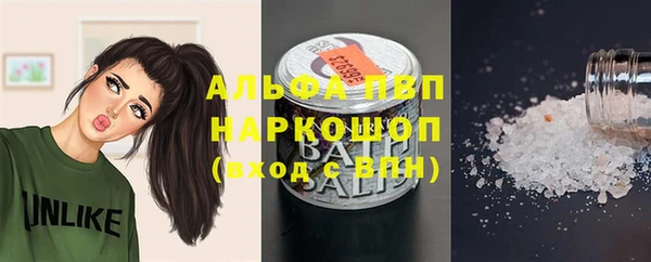 mdpv Бородино