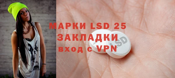 mdpv Бородино