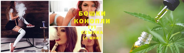 mdpv Бородино