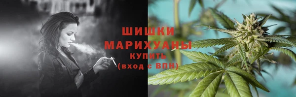 mdpv Бородино