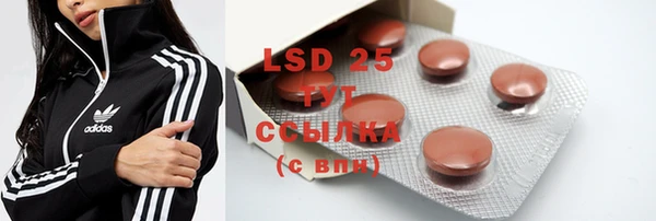 mdpv Бородино