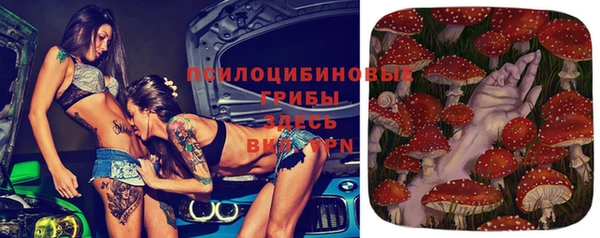 а пвп мука Бронницы