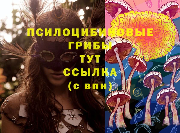 mdpv Бородино