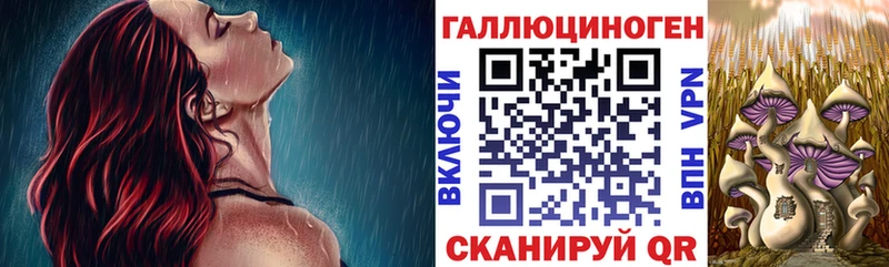 Галлюциногенные грибы MAGIC MUSHROOMS  KRAKEN как войти  Люберцы 